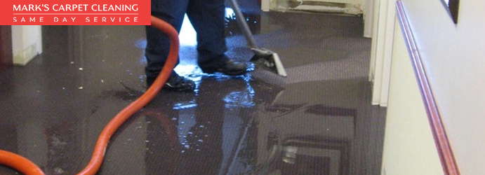 Emergency Water Damaged Carpet Restoration Allora