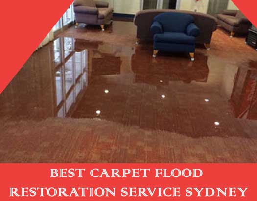 Best Carpet Flood Restoration Services 