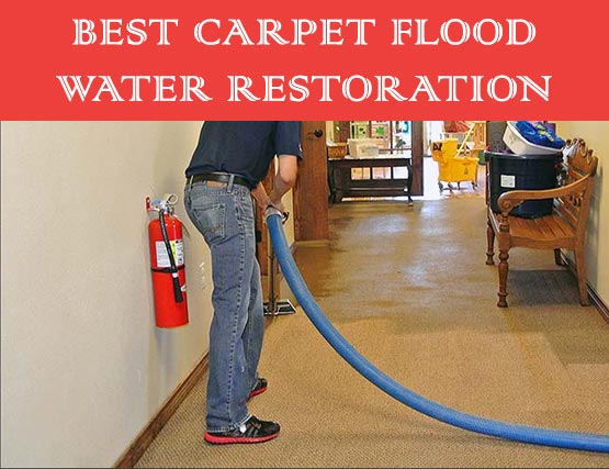 Best Carpet Flood Water Restoration Elgin Vale