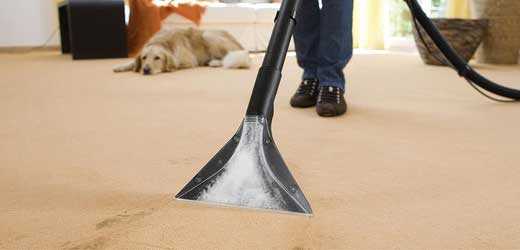 Carpet Sanitising Salisbury Plain