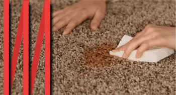 Carpet Spot Removal Putta Bucca