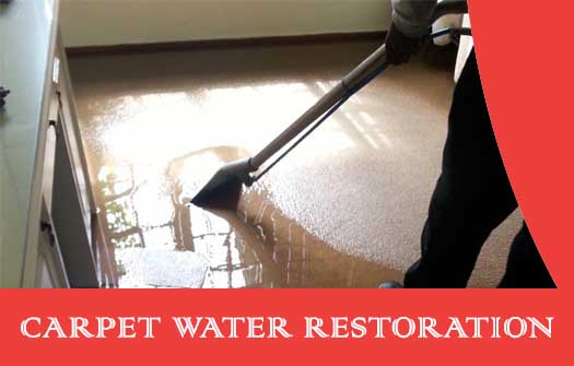 Carpet Water Restoration Essington