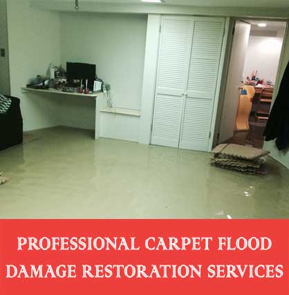 Professional Carpet Flood Damage Restoration Services Elgin Vale