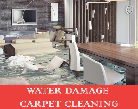 Water Damage Carpet Cleaning Pimlico