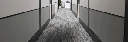Commercial Carpet Cleaning Salisbury Plain