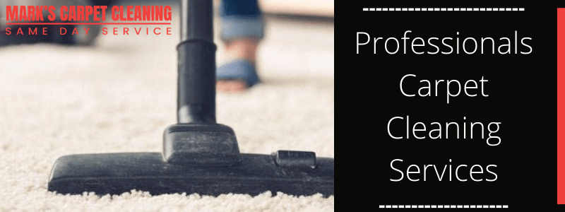 Professionals Carpet Cleaning Services